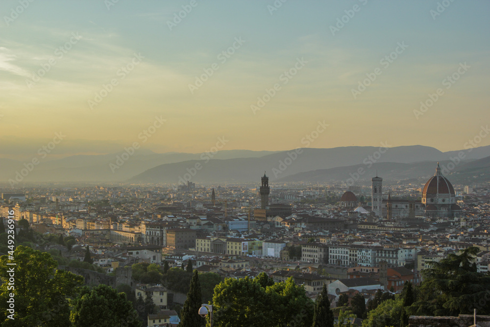 Panoramic view of the city of Firenze 