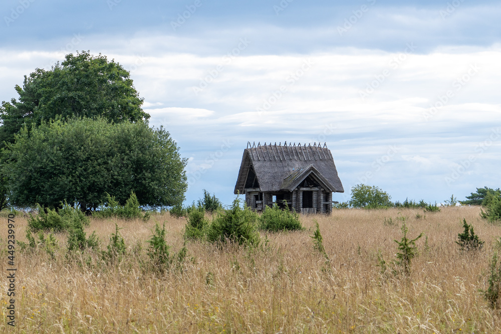 abandoned, unfinished small log building with a thatched roof in an overgrown meadow abandoned, unfinished small log building with a thatched roof in an overgrown meadow