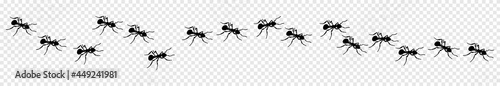 A line of worker ants marching, Ants marching or walking  search of food, vector illustration
