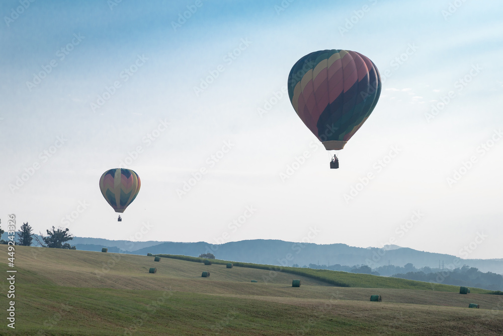 Naklejka premium Hot air balloons takes flight in the early morning at the Wytheville Chautauqua Balloon Festival in 2021.