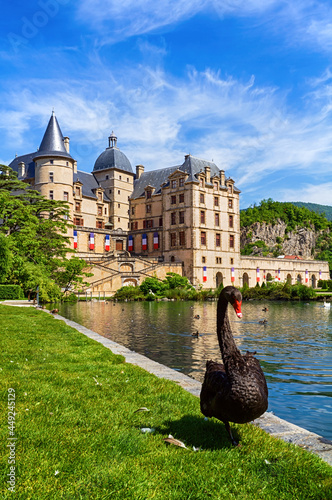 View of Chateau de Vizille from its park with black swan on foreground ,Vizille near Grenoble, France.