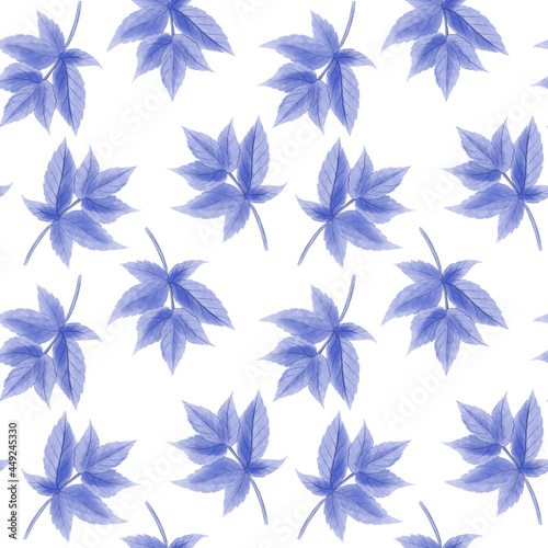 watercolor drawing floral seamless pattern  blue monochrome ornament at white background  hand drawn illustration