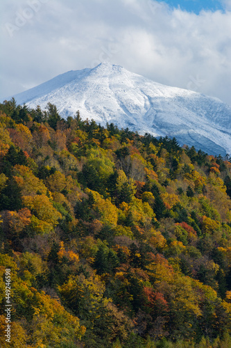 カラフルな秋の森と冠雪の山頂
