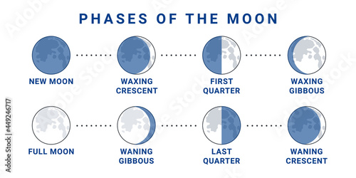 Moon phases concept. The whole cycle from new moon to full moon. Vector illustration