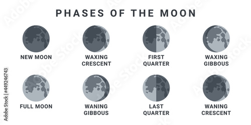 Moon phases. The whole cycle from new moon to full moon. Vector illustration