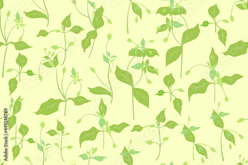 Seamless Pattern with a Green Chickweed Parts