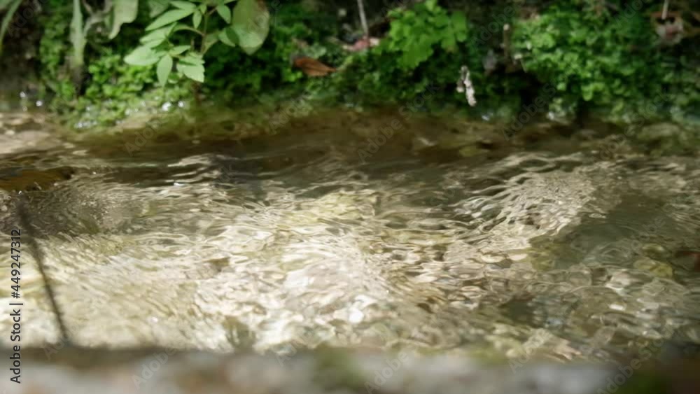 Slow motion water stream from natural spring. Pure fresh stream water flowing. Slow motion water stream from natural spring. Pure fresh stream water flowing.