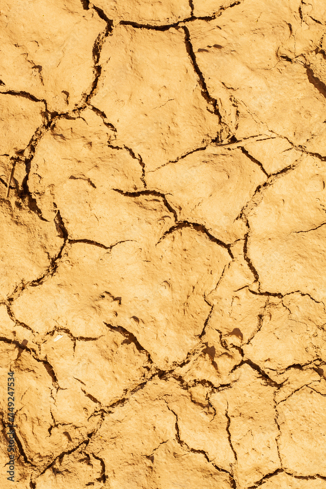 Dried cracked earth soil ground texture background Dried cracked earth soil ground texture background