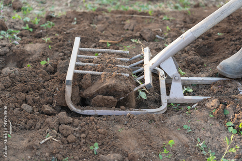 A farmer in rubber overshoes digs up the ground with a ripper shovel. Hand cultivator, close up