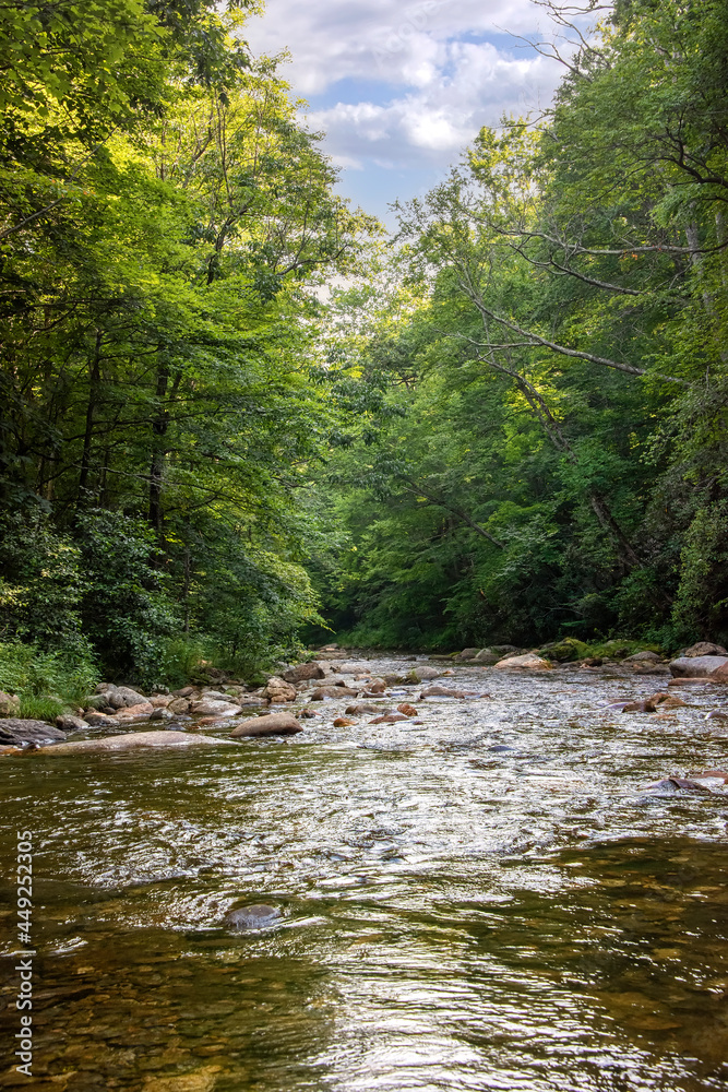 Beautiful Flowing Pigeon River in North Caroina Beautiful Flowing Pigeon River in North Caroina
