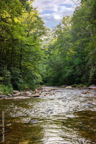 Beautiful Flowing Pigeon River in North Caroina