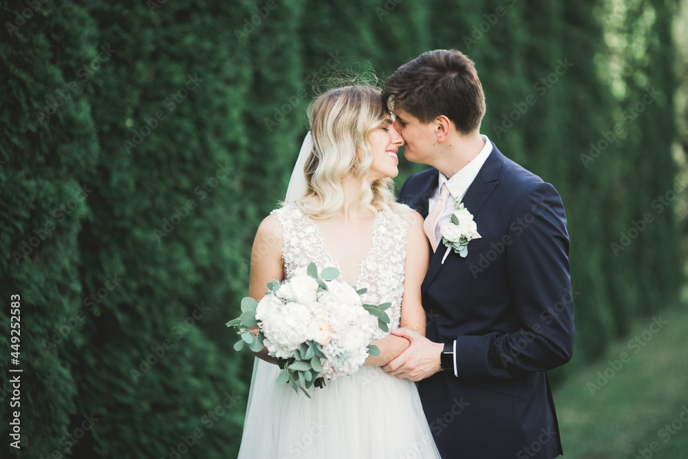 Romantic, fairytale, happy newlywed couple hugging and kissing in a park, trees in background Romantic, fairytale, happy newlywed couple hugging and kissing in a park, trees in background