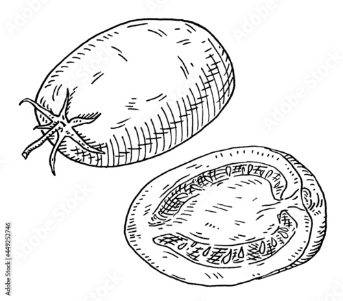 Tomato plum half and whole. Vintage hatching monochrome black illustration. Isolated on white