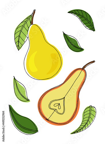 Botanical illustration in the style of doodles: juicy pears with leaves on a white background. Summer mood. A vector image.