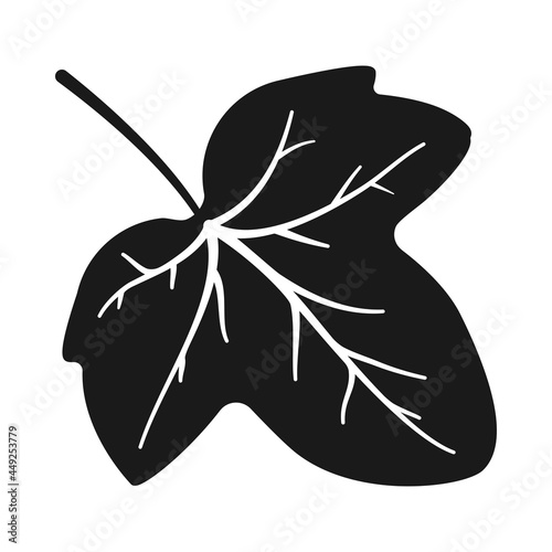 Ivy leaf in silhouette vector icon