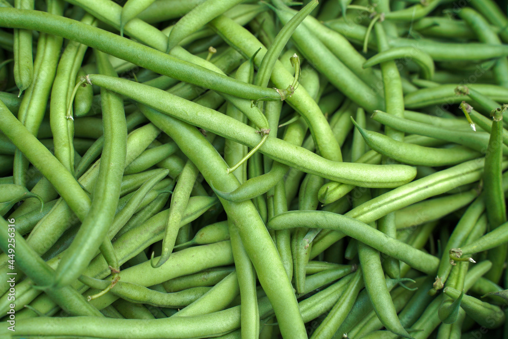 green beans background. harvest, food texture or wallpaper. green beans background. harvest, food texture or wallpaper.