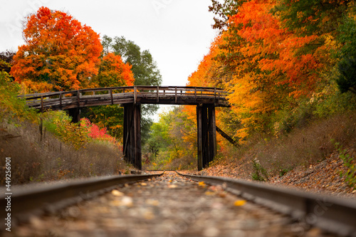Fototapeta Naklejka Na Ścianę i Meble -  An old wooden bridge sits over railroad tracks surrounded by orange and yellow fall color trees in autumn_01