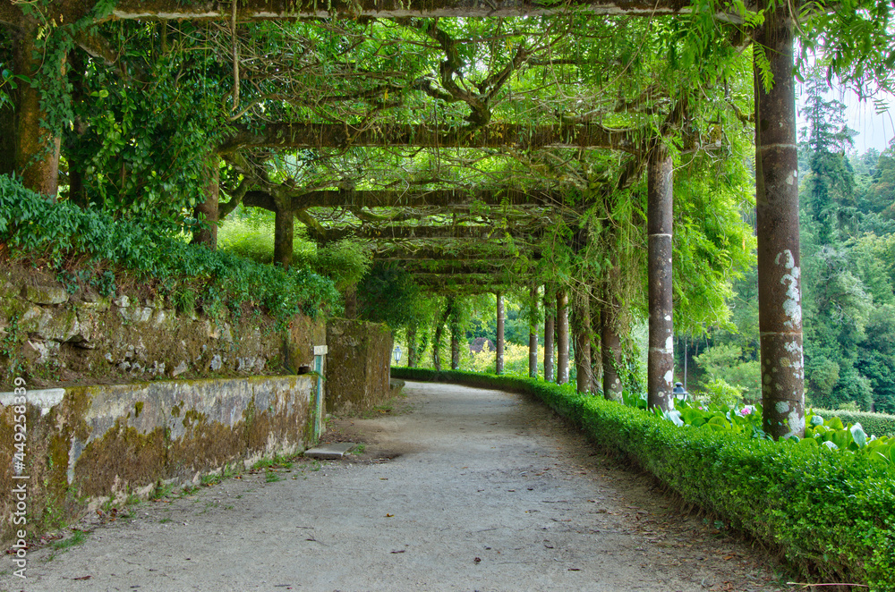 The gardens of the luxury hotel Bussaco Palace in Portugal