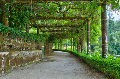 The gardens of the luxury hotel Bussaco Palace in Portugal