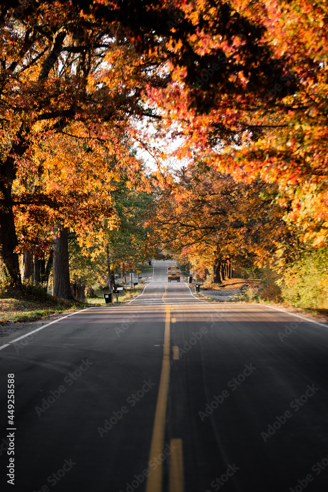 A countryside road running through a thick forest of autumn fall colored trees in the midwest_06