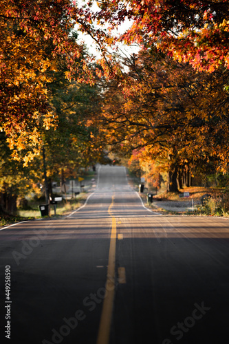 A countryside road running through a thick forest of autumn fall colored trees in the midwest_07 photo