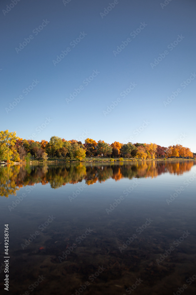 Fall colored leaves on autumn trees in a forest reflecting on a lake during golden hour in the midwest_16