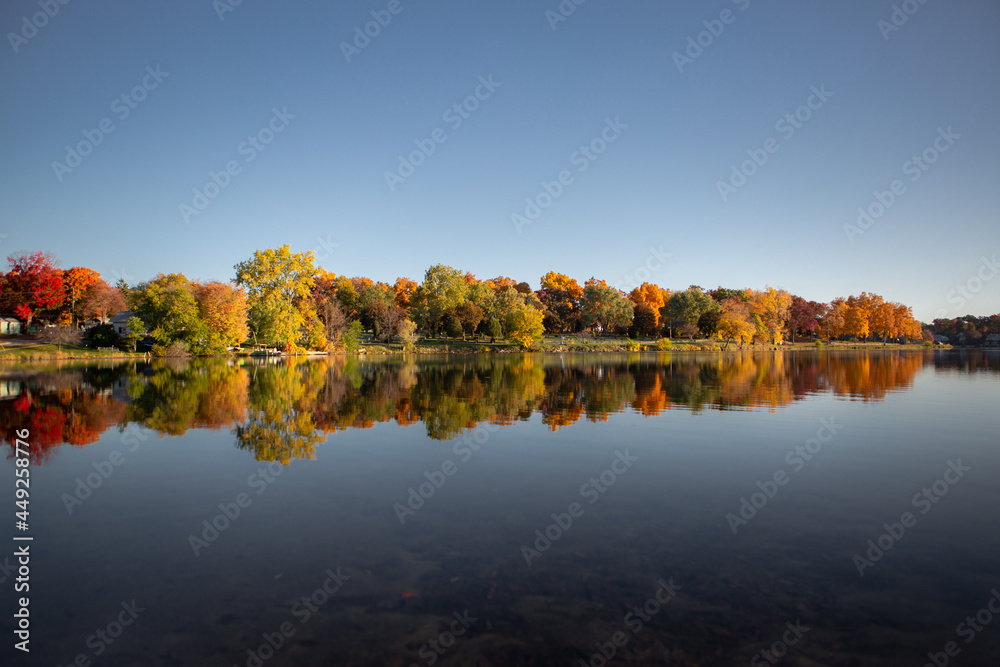 Fototapeta premium Fall colored leaves on autumn trees in a forest reflecting on a lake during golden hour in the midwest_15