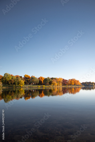 Fall colored leaves on autumn trees in a forest reflecting on a lake during golden hour in the midwest_17