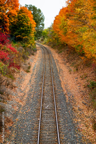 Railroad tracks in the middle of nowhere cutting through fall colored autumn trees changing colors_01