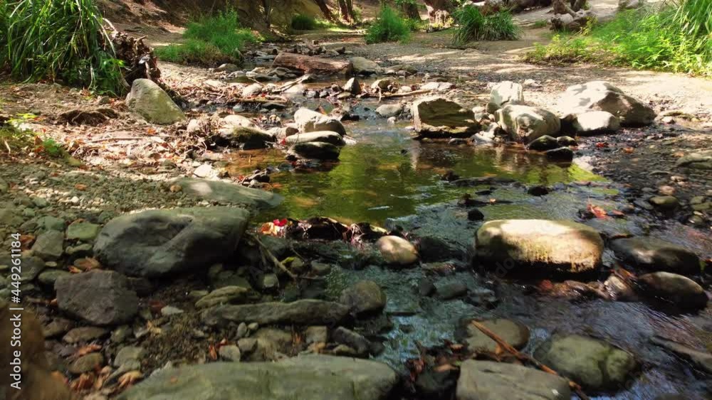 Tranquility scene in the forest near a creek, smooth motion video shot with drone Tranquility scene in the forest near a creek, smooth motion video shot with drone