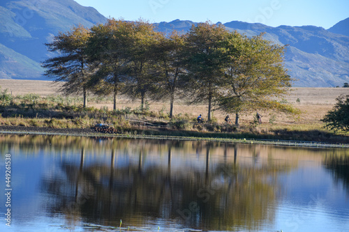reflection of trees and mountain bikers in lake