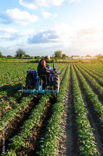 A farmer on a tractor works in the field. A farm worker tills the soil on a plantation. Agroindustry and agribusiness. Farm machinery. Crop care. Plowing and loosening ground