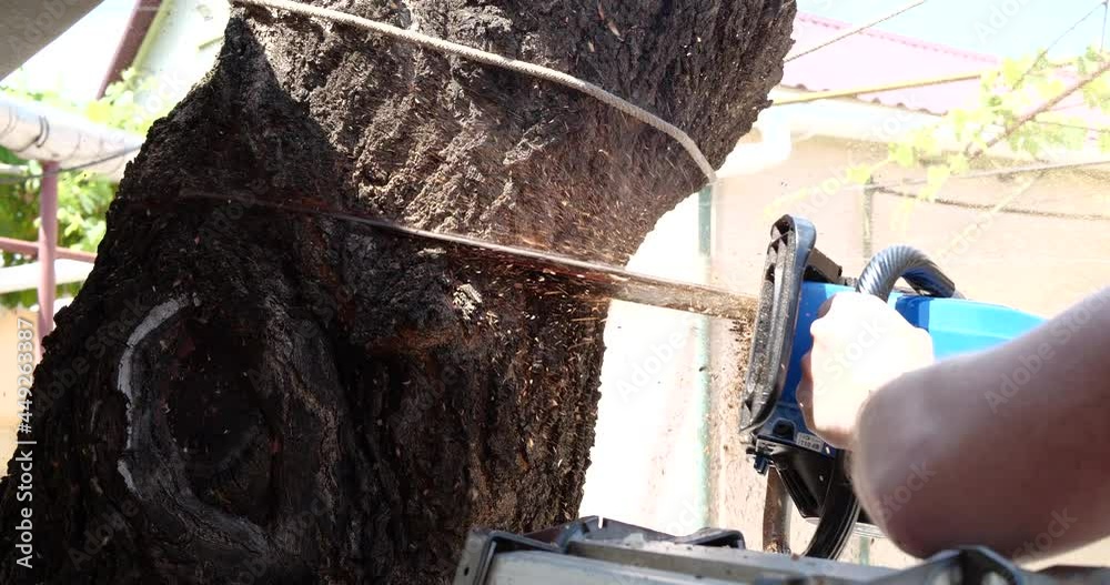 Chainsaw in action for cutting wood. worker cuts a tree trunk into logs with a saw. Close-up of a saw in motion, sawdust flying to the sides. Woodworking, wood cutting tools, wood