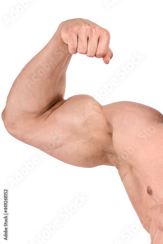 Biceps of a bodybuilder in close-up. Arm. Shoulder. Fist. Isolated on a white background