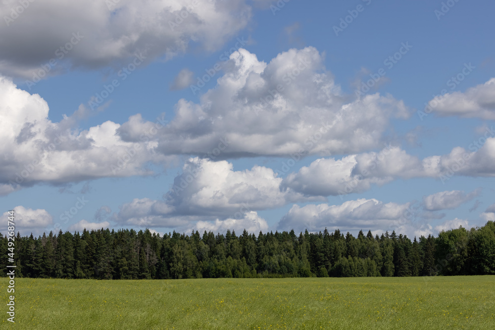 Field, forest and cumulus clouds against a blue sky background. Natural landscape.