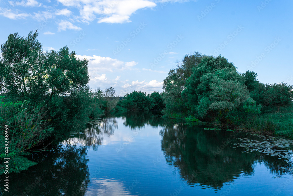 River in the forest