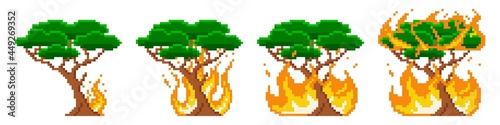 Pixel tree combustion fire stage. Fire is gradually engulfing green large tree. Initial small flame grows into huge vector inferno