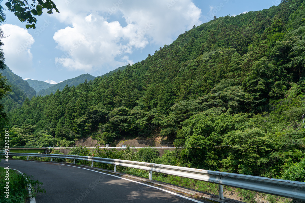 東京都西多摩郡奥多摩町、埼玉県飯能市にある棒ノ折山で登山する風景 Scenery of climbing at Mount Bouno-oreyama in Okutama Town, Nishitama County, Tokyo and Hanno City, Saitama Prefecture.