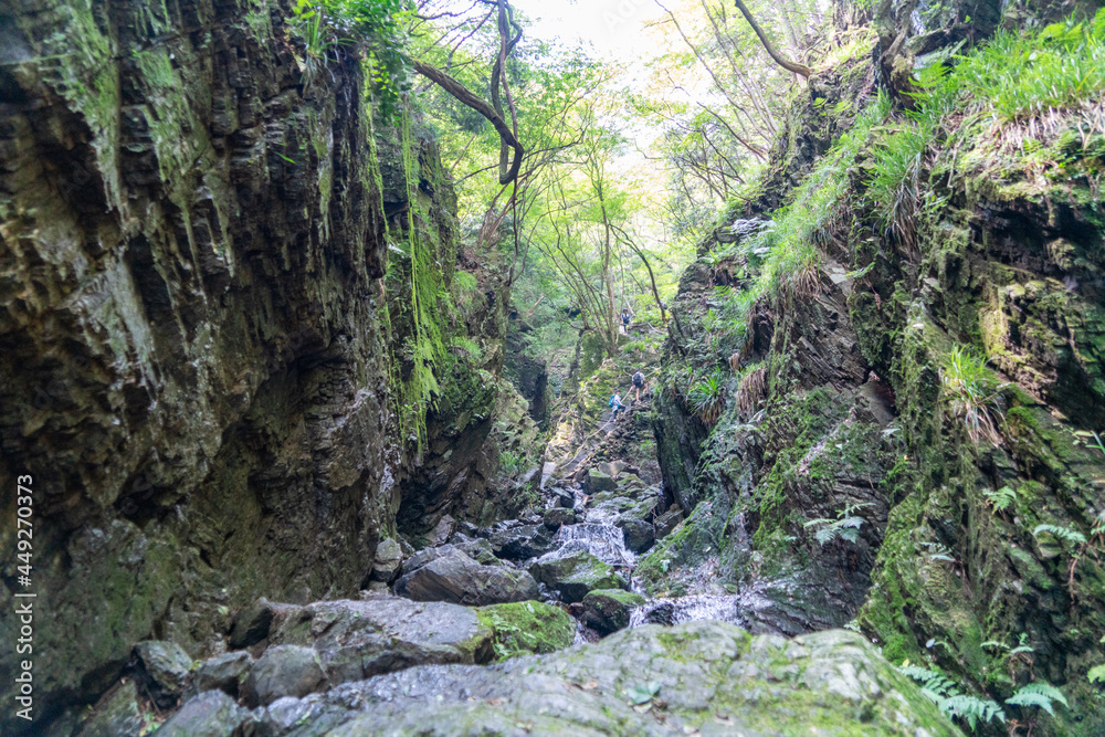 東京都西多摩郡奥多摩町、埼玉県飯能市にある棒ノ折山で登山する風景 Scenery of climbing at Mount Bouno-oreyama in Okutama Town, Nishitama County, Tokyo and Hanno City, Saitama Prefecture. 東京都西多摩郡奥多摩町、埼玉県飯能市にある棒ノ折山で登山する風景 Scenery of climbing at Mount Bouno-oreyama in Okutama Town, Nishitama County, Tokyo and Hanno City, Saitama Prefecture.
