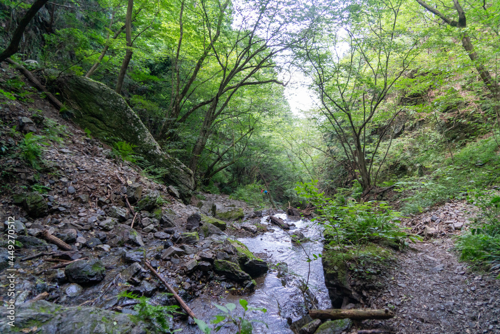 東京都西多摩郡奥多摩町、埼玉県飯能市にある棒ノ折山で登山する風景 Scenery of climbing at Mount Bouno-oreyama in Okutama Town, Nishitama County, Tokyo and Hanno City, Saitama Prefecture. 東京都西多摩郡奥多摩町、埼玉県飯能市にある棒ノ折山で登山する風景 Scenery of climbing at Mount Bouno-oreyama in Okutama Town, Nishitama County, Tokyo and Hanno City, Saitama Prefecture.