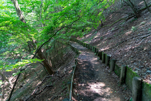 東京都西多摩郡奥多摩町、埼玉県飯能市にある棒ノ折山で登山する風景 Scenery of climbing at Mount Bouno-oreyama in Okutama Town, Nishitama County, Tokyo and Hanno City, Saitama Prefecture. photo