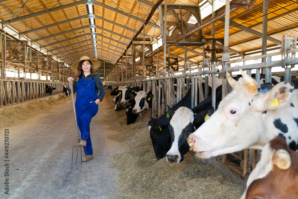 Young farmer wearing blue overall while feeding the cows