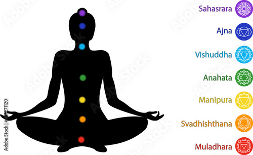 Woman silhouette in yoga asana vector illustration