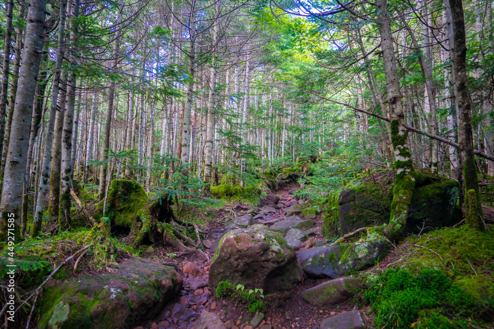 Fototapeta premium 長野県南佐久郡の八ヶ岳のニュウの登山動の風景 Nyu, Yatsugatake, Minamisaku-gun, Nagano Prefecture, Japan.