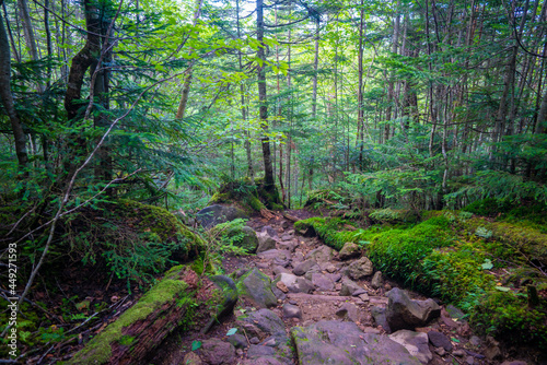                                                                    Nyu  Yatsugatake  Minamisaku-gun  Nagano Prefecture  Japan.