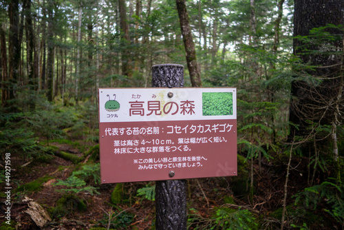 長野県南佐久郡の八ヶ岳のニュウの登山動の風景 Nyu, Yatsugatake, Minamisaku-gun, Nagano Prefecture, Japan. photo