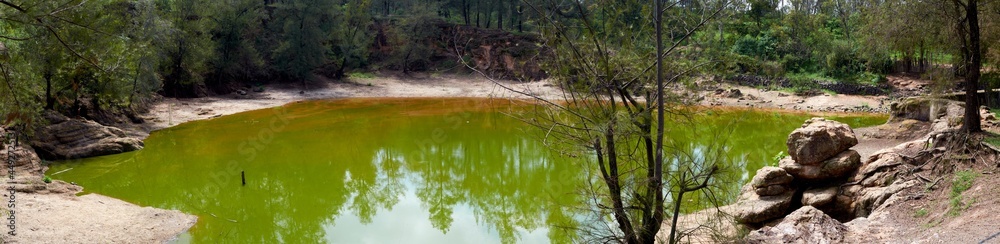 bosque lago centinela