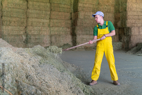 farmer working with pitchfork gathers hay © bulentbaris