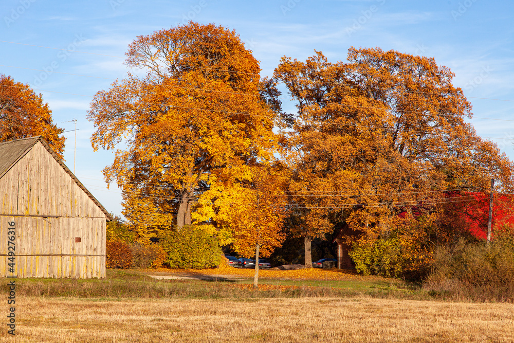 Lanscape in autumn