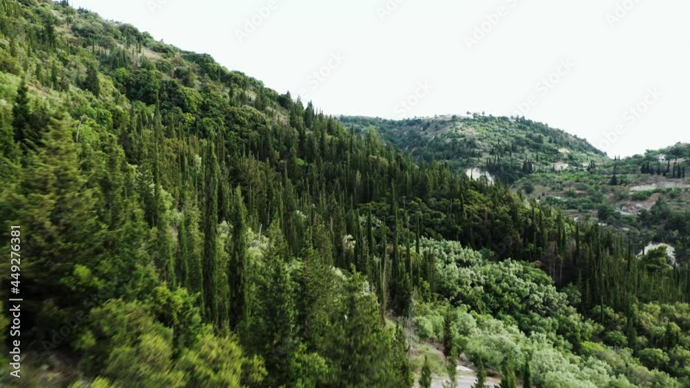Drone shot of scenic green hills with tall cypress trees, ecology concept. Drone shot of scenic green hills with tall cypress trees, ecology concept.